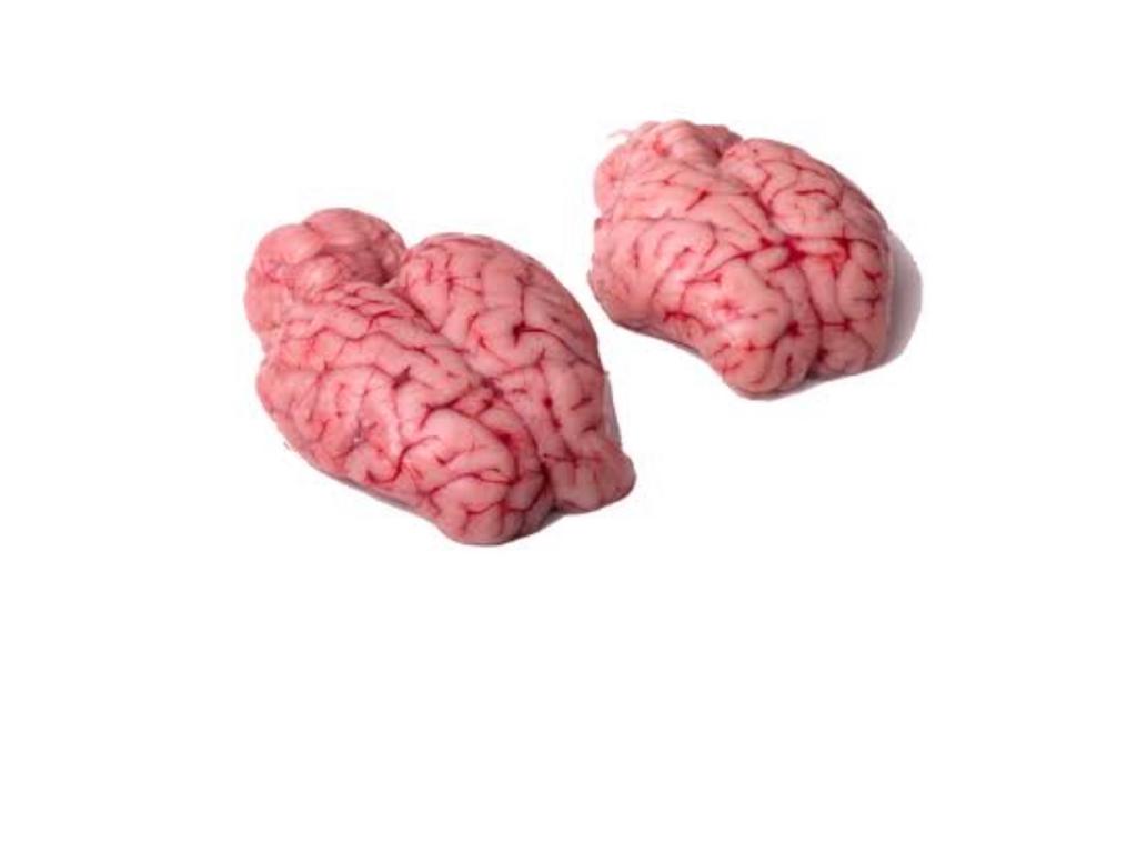 Mutton Brain